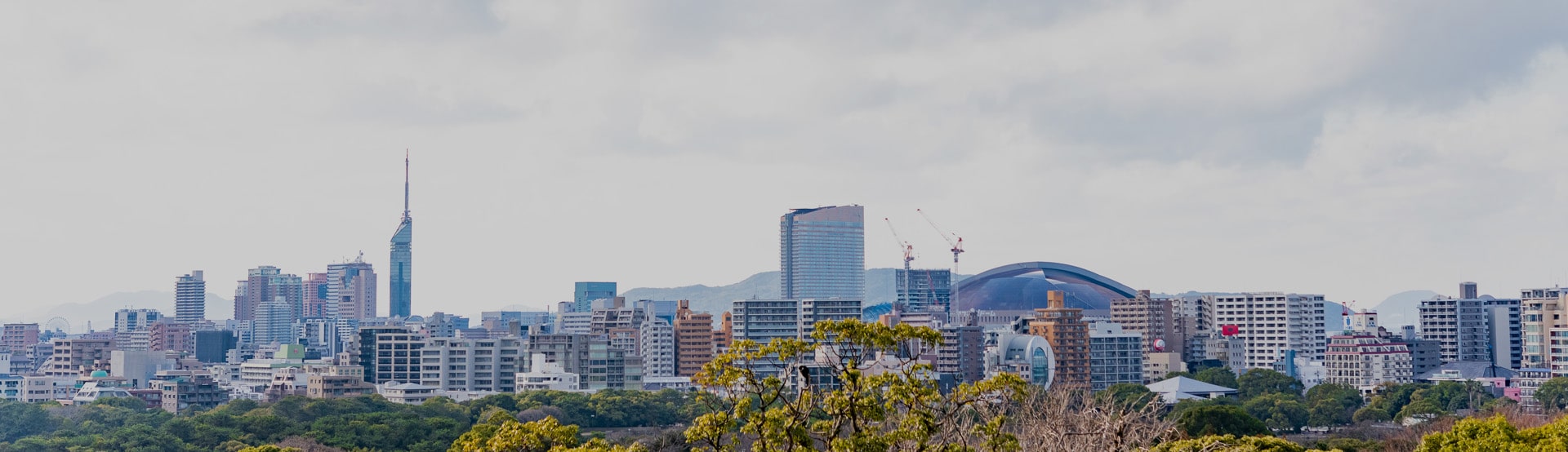 福岡市風景